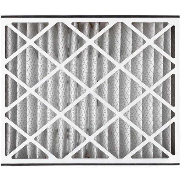 Trion Air Bear TRION 255649-102  MERV 8 Replacement Filter (20 x 25 x 5")