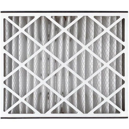 Trion Air Bear TRION 255649-102  MERV 8 Replacement Filter (20 x 25 x 5")